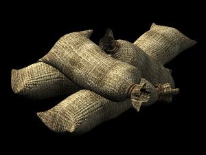 prop-sack 12 3D मॉडल