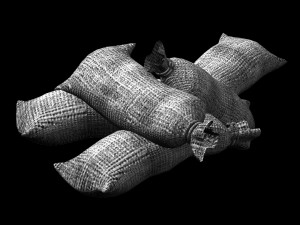 prop-sack 12 3D मॉडल