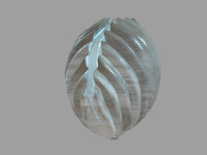 seaside-shell 302 Modelo 3D