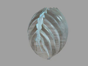 seaside-shell 302 3D Model