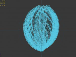 seaside-shell 302 3D Model