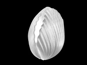 seaside-shell 305 3D Model