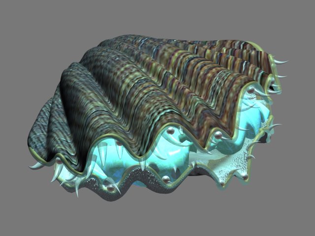 6seaside-shell 30 3D Model .c4d .max .obj .3ds .fbx .stl .blend 