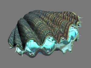 6морская ракушка 30 3D Модель