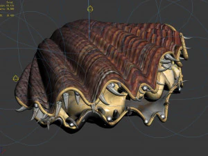 6seaside-shell 30 3D Model