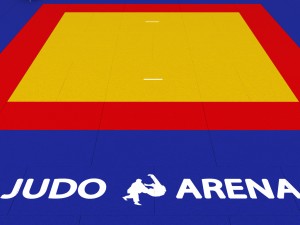 judo tatami sport arena low poly Modelo 3D