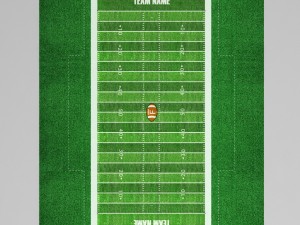 football american stadium field low poly Modello 3D