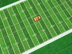 football american stadium field low poly 3D Model