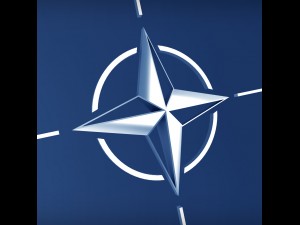 nato logo symbol low poly pack 3D 모델