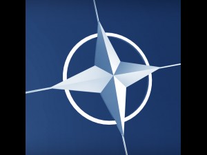 nato logo symbol low poly pack 3D 모델