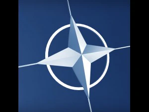 nato logo symbol low poly pack 3D Model
