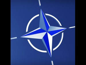 nato logo symbol low poly pack 3D 모델