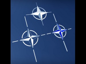 nato logo symbol low poly pack 3D 모델
