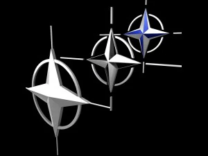 nato logo symbol low poly pack 3D Model