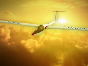 glider sailplane glaser dg-100 low poly Model 3D