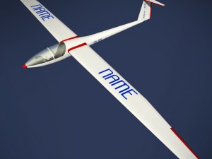 glider sailplane glaser dg-100 low poly Model 3D