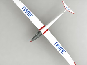 glider sailplane glaser dg-100 low poly Model 3D