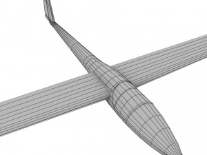 glider sailplane glaser dg-100 low poly Model 3D
