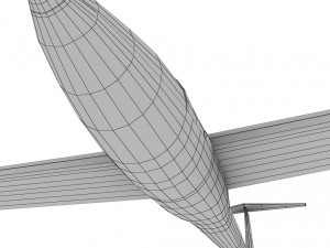 glider sailplane glaser dg-100 low poly Model 3D