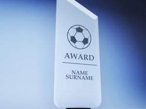 trophy award cup low poly 05 Model 3D