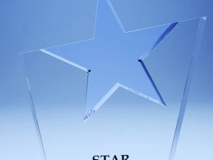 trophy award cup low poly 09 3D Model