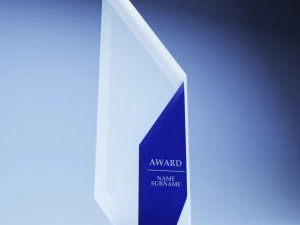 trophy award cup low poly 13 3D Model