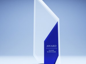 trophy award cup low poly 13 Model 3D