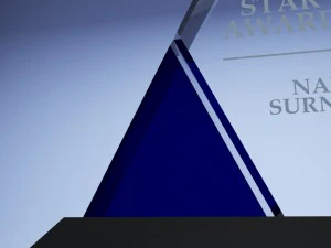trophy award cup low poly 07 3D Model