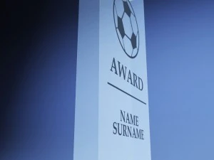 confezione in poli basso con coppa premio trofeo Modello 3D