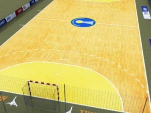 handball court 3D 模型