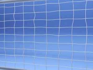 volleyball net 3D 模型