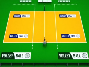 volleyball court high 3D Модель