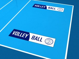 volleyball court 3D Model