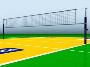 volleyball court 3D Model