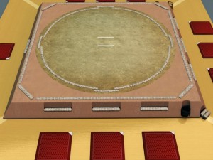 sumo ring 3D Model
