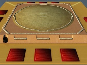 sumo ring Model 3D