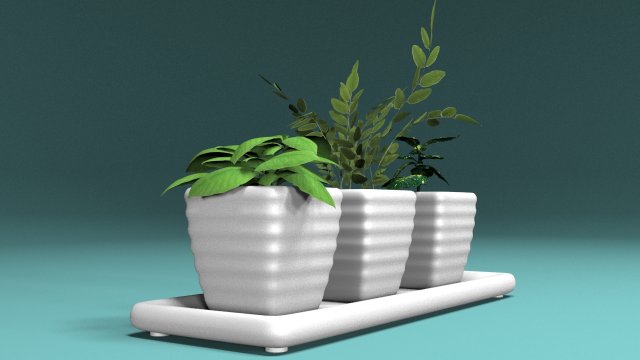 three bush in pots Model 3D .c4d .max .obj .3ds .fbx .stl .blend 