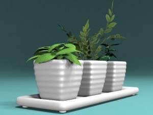 three bush in pots Modèle 3D
