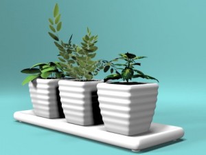 three bush in pots Model 3D