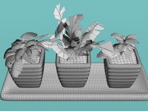 three bush in pots Model 3D