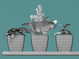 three bush in pots Model 3D