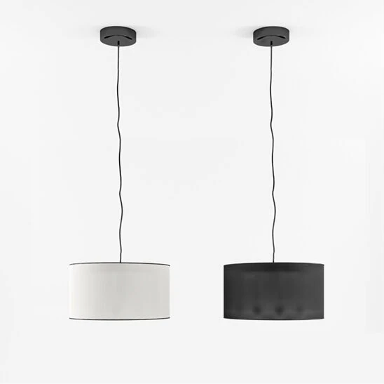 moden ceiling light 3D Model .c4d .max .obj .3ds .fbx .stl .blend 