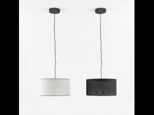 moden ceiling light Model 3D