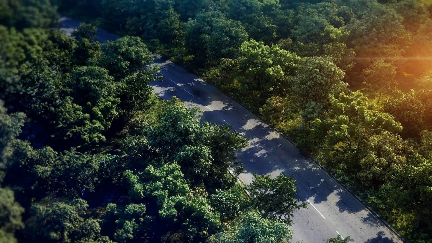 residential area road 18 3D Model .c4d .max .obj .3ds .fbx .stl .blend 