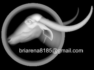 buffalo 3d stl model relief for cnc Modelo de Impressão 3D