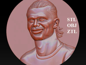 Erling Haaland bust for 3D printing 3D Print Model
