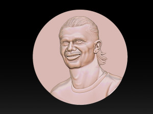Erling Haaland bust for 3D printing Modello di stampa 3D