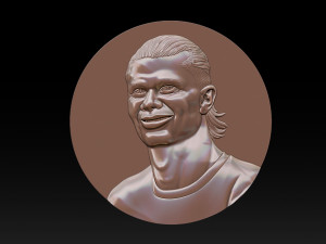 Erling Haaland bust for 3D printing Modello di stampa 3D