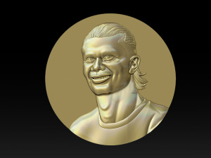Erling Haaland bust for 3D printing Modello di stampa 3D