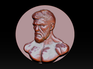MMA and UFC portrait relief model 3Dプリントモデル